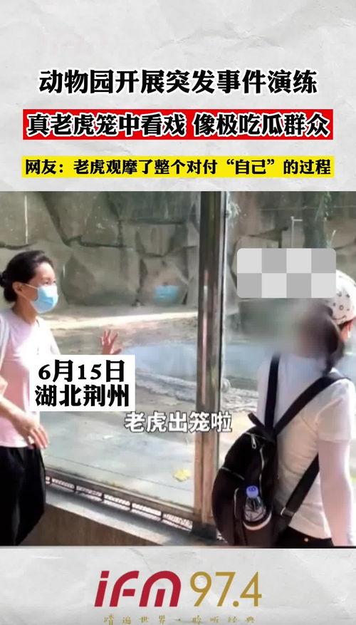 路边吃瓜群众看戏,围观群众演绎现代版“看戏”盛况