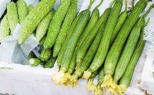 菜瓜吃瓜网站,揭秘网络舆论场中的瓜田效应