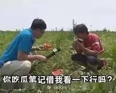 双标吃瓜,揭秘网络舆论的“双重标准”现象