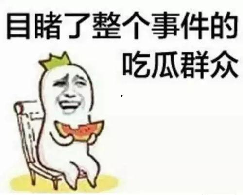 潇洒哥吃瓜群众,揭秘娱乐圈幕后风云