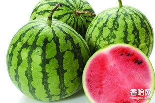 经期能否吃葫芦瓜,葫芦瓜的食用宜忌解析