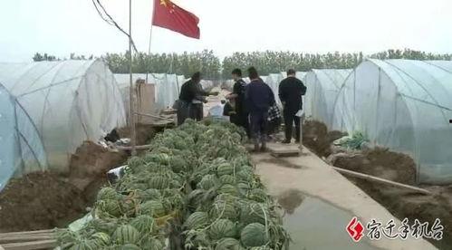 宿迁吃瓜视频,揭秘当地特色美食与风土人情