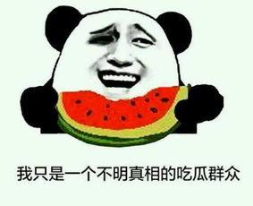 51吃瓜打不来,揭秘网络热词背后的趣味与争议