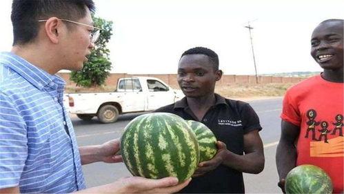 成都黑人吃瓜视频