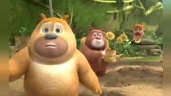 吃瓜熊被打视频,真相与反思