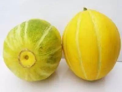 吃瓜姐夫湖州,揭秘网红夫妻的田园生活