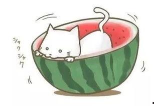 吃瓜看球图片,一场视觉盛宴的精彩瞬间