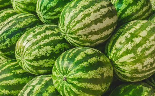 现在都在哪吃瓜,揭秘网络热点背后的狂欢与反思