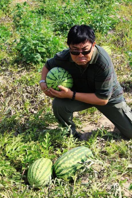 吃瓜那些趣事免费阅读